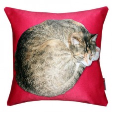 Lay On Cat Cushion In Fuscia