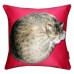 Lay On Cat Cushion In Fuscia