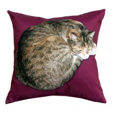 Lay On Cat Cushion In Plum
