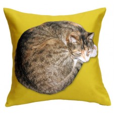 Cat Cushion In Yellow