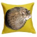Cat Cushion In Yellow