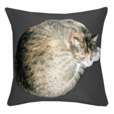 Lay On Cat Cushion In Grafite