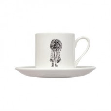 Scruff Coffee Cup And Saucer
