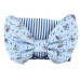 Lola Small Purse In Blue And White