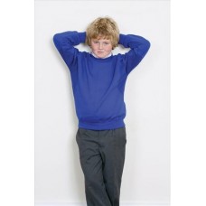 Maddins Kidâ€™s Coolflow Raglan Sweatshirt