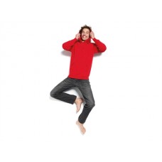 Sg Mens Hoodie In Various Colours