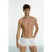Hanes Men's Underwear (boxer)