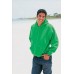 Gildan Heavyweight Blend Adult Hooded Sweatshirt