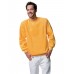 Jerzees Classic Raglan Sleeve Sweatshirt