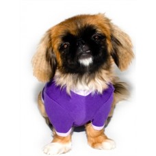 American Apparel Baby Rib Screen Printed Dog T-shirt - Pack Of 10