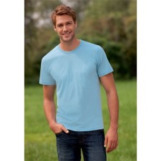 Hanes Mens Crew Neck T-shirt