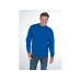 Hanes Beefy Sweat