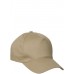 Texas Bull Twill Cap