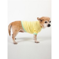 American Apparel Baby Rib Dog T-shirt