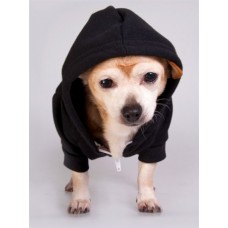 American Apparel Flex Fleece Dog Zip Hoodie