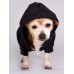 American Apparel Flex Fleece Dog Zip Hoodie