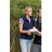 Regatta Womens Womens Haber Ii Bodywarmer
