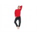 Sg Mens Sweatshirt In Various Colours