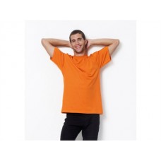 Sg Mens Heavyweight T-shirt In Various Colours