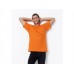 Sg Mens Heavyweight T-shirt In Various Colours