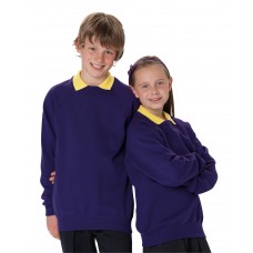 Jerzees Schoolgear Children's Raglan Sleeve Sweatshirt