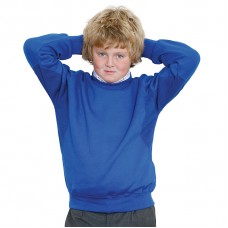 Maddins Kids Coloursure Curved Raglan Sweatshirt