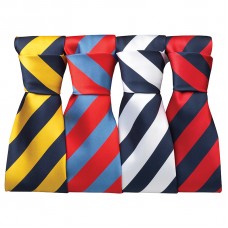 Premier Men's Bold Stripe Tie