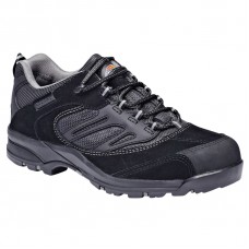 Dalton Trainer