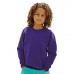 Fruit Of The Loom Premium Kids Raglan Sleeve Sweatshirt
