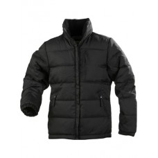 United Brands Printer Women's Padded Freeride Jacket