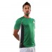 Official Football Merchandise Adult's Celtic T-shirt