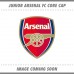 Official Football Merchandise Children's Arsenal Fc Core Cap