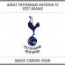 Official Football Merchandise Adult's Tottenham Fc Text Beanie