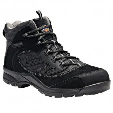 Dickies Men's Dalton Steel Toe Cap Anti Static Work Boot - Fd9201