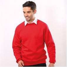 Maddins Men's Coloursure Raglan Sweatshirt