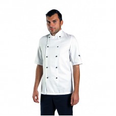 Dennys Adult's Removable Stud Fastening Short Sleeve Chefs Jacket