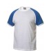 Clique Unisex Raglan Contrast Sleeve T-shirt