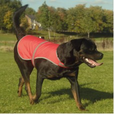 Yoko Dogs Hi-vis Velcro Fastening Vest