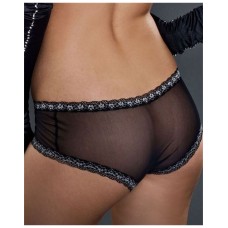 Hot Cheeky Mesh Shorts 