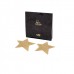 Bijoux Gold Star Flash Pasties