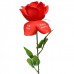 Fleur D'amour Erotic Red Rose