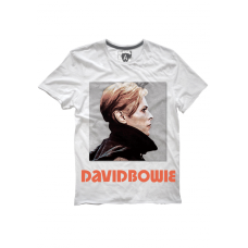 David Bowie Heroes