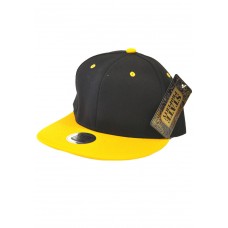 2 Tone Snapback