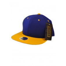 2 Tone Snapback