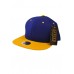 2 Tone Snapback