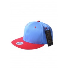 2 Tone Snapback