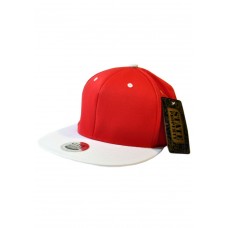2 Tone Snapback