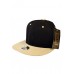 2 Tone Snapback