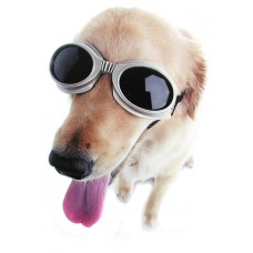 Doggles