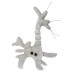 Giant Microbes Brain Cell